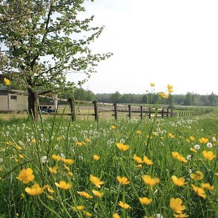Agriturismo Cargandino Villa Mezzomerico Eksteriør billede