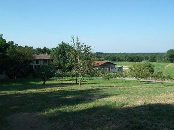 Agriturismo Cargandino Villa Mezzomerico Eksteriør billede