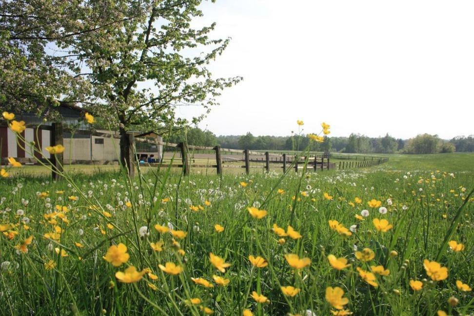 Agriturismo Cargandino Villa Mezzomerico Eksteriør billede