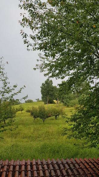 Agriturismo Cargandino Villa Mezzomerico Eksteriør billede